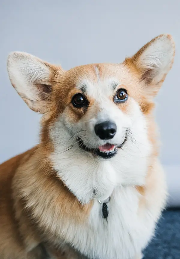 Mitarbeiter Foto FRI