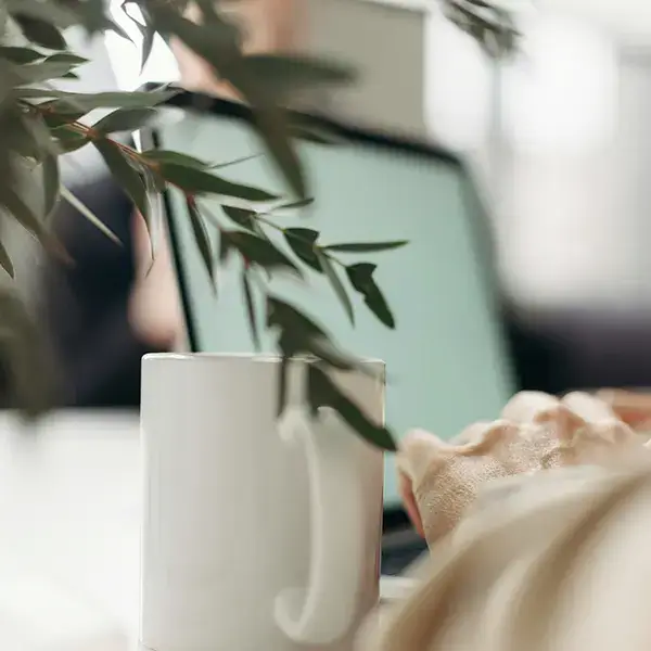 Laptop hinter Pflanze